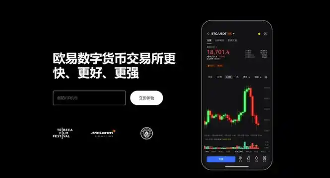 oe交易平台平台展示图